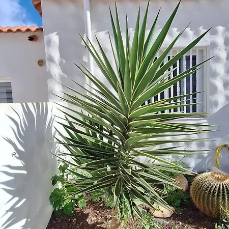 Apartment Casa Molina Costa Calma