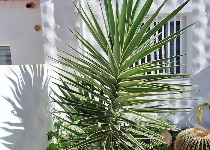 Apartment Casa Molina Costa Calma